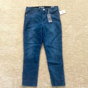 Wit & Wisdon “Ab-solution” Hugh rise vintage skinny